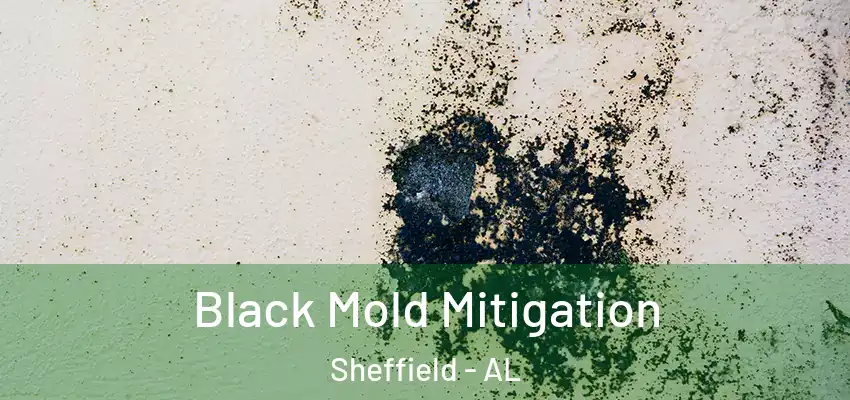  Black Mold Mitigation Sheffield - AL