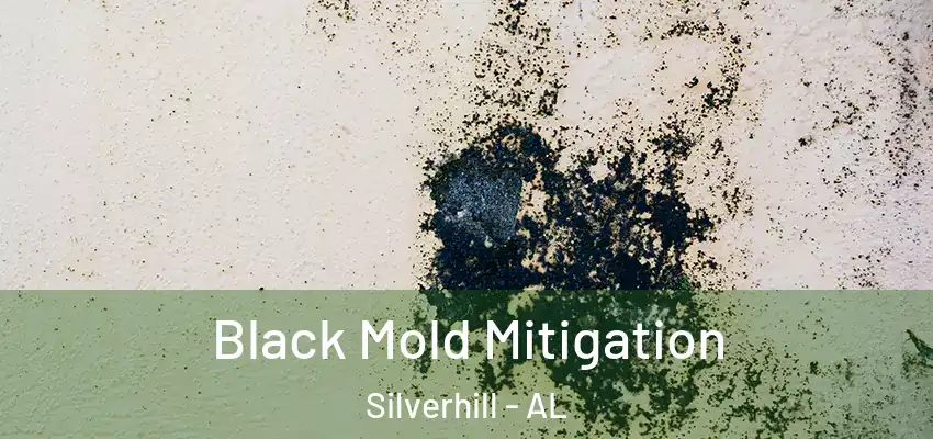 Black Mold Mitigation Silverhill - AL