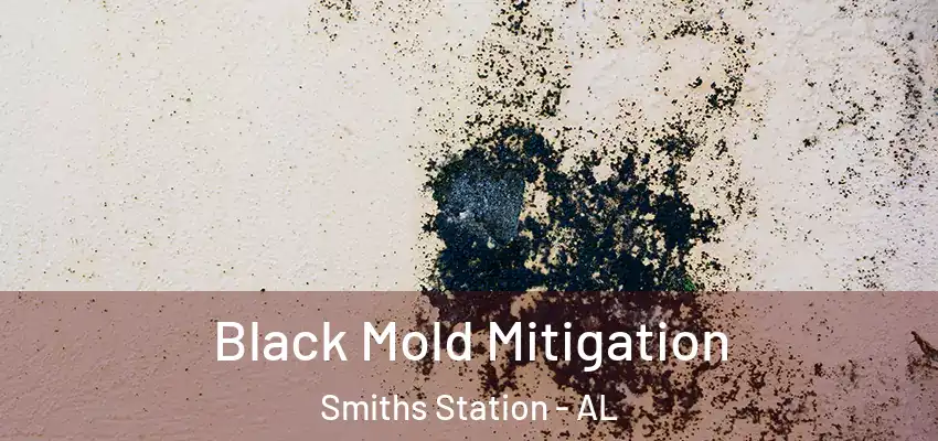  Black Mold Mitigation Smiths Station - AL