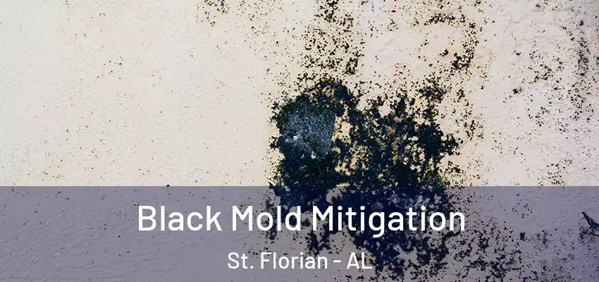  Black Mold Mitigation St. Florian - AL