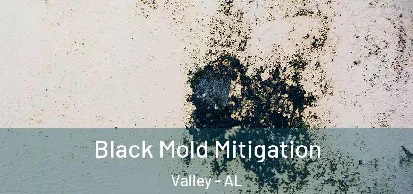  Black Mold Mitigation Valley - AL