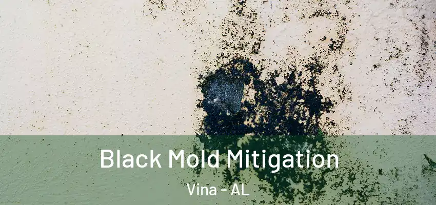  Black Mold Mitigation Vina - AL