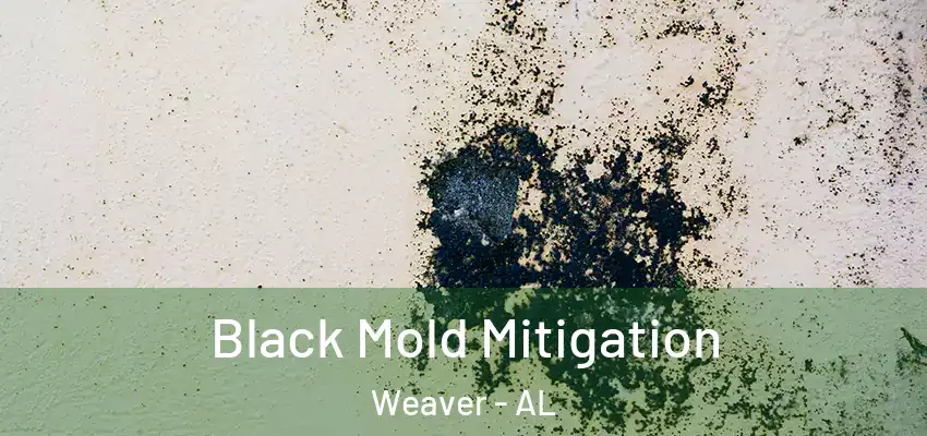  Black Mold Mitigation Weaver - AL