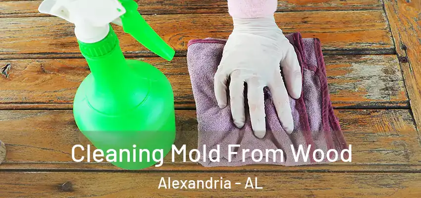  Cleaning Mold From Wood Alexandria - AL
