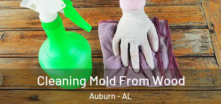 Cleaning Mold From Wood Auburn - AL