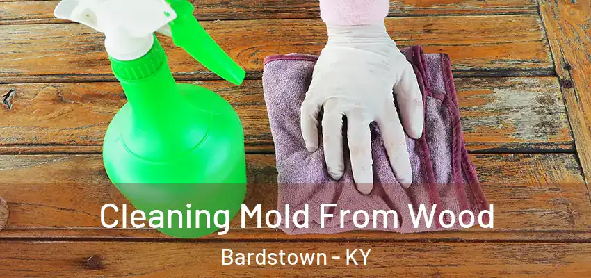 Cleaning Mold From Wood Bardstown - KY