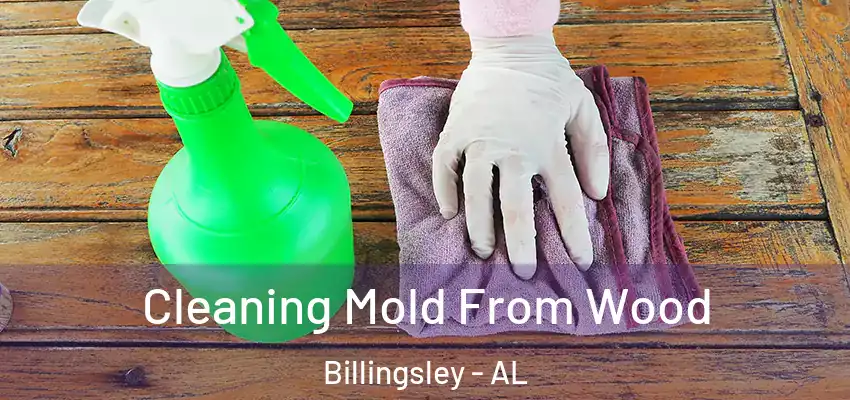  Cleaning Mold From Wood Billingsley - AL