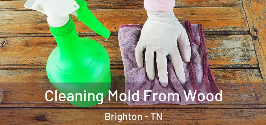 Cleaning Mold From Wood Brighton - TN