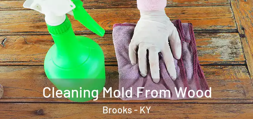  Cleaning Mold From Wood Brooks - KY