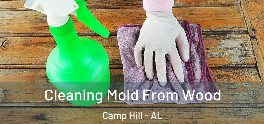 Cleaning Mold From Wood Camp Hill - AL