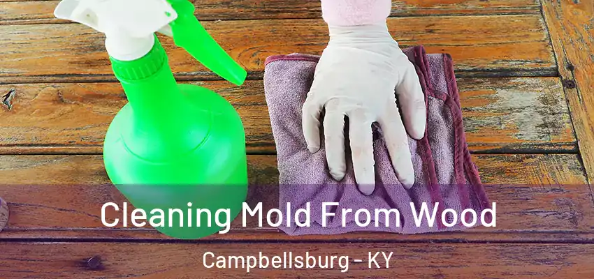 Cleaning Mold From Wood Campbellsburg - KY