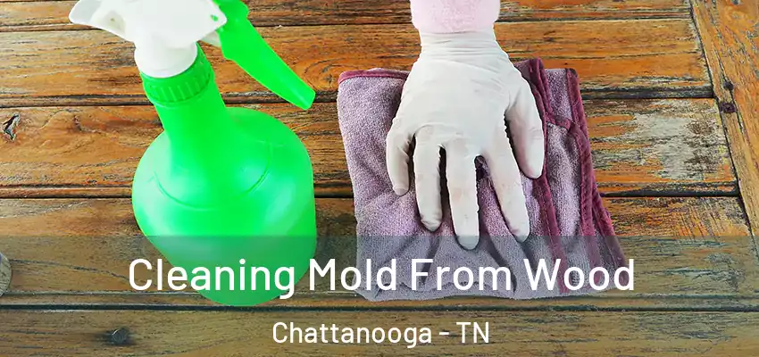 Cleaning Mold From Wood Chattanooga - TN