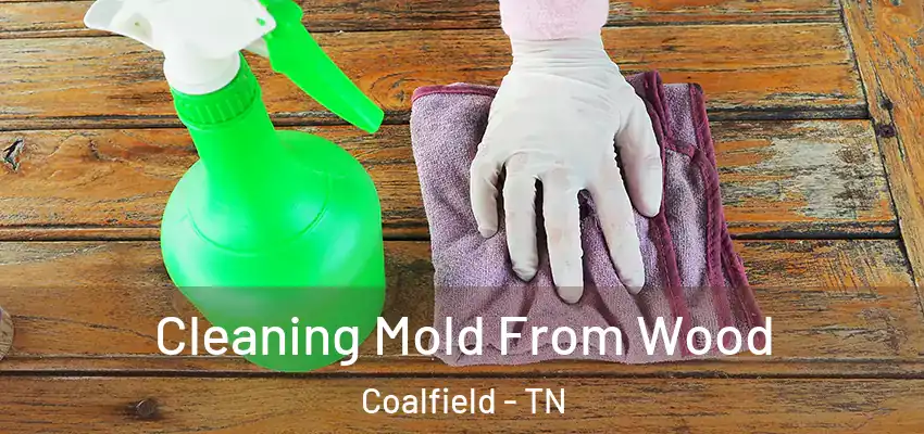  Cleaning Mold From Wood Coalfield - TN