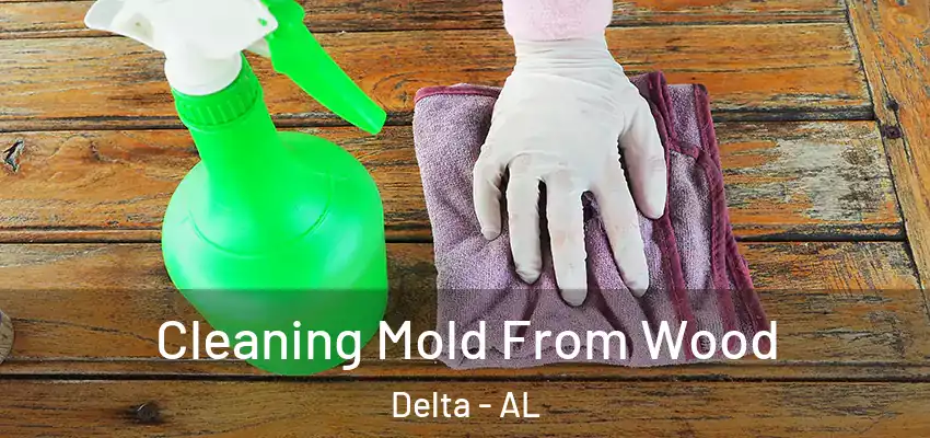 Cleaning Mold From Wood Delta - AL