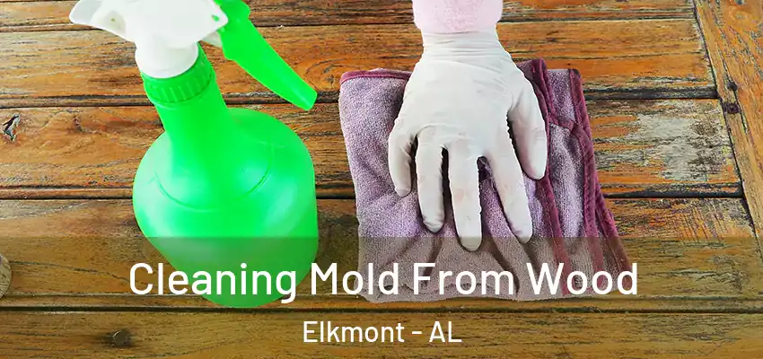 Cleaning Mold From Wood Elkmont - AL