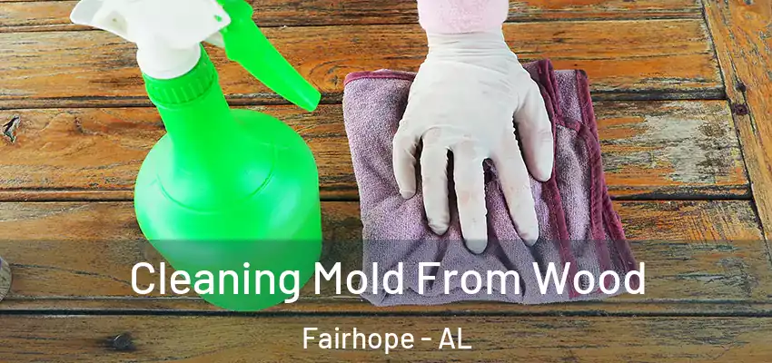 Cleaning Mold From Wood Fairhope - AL