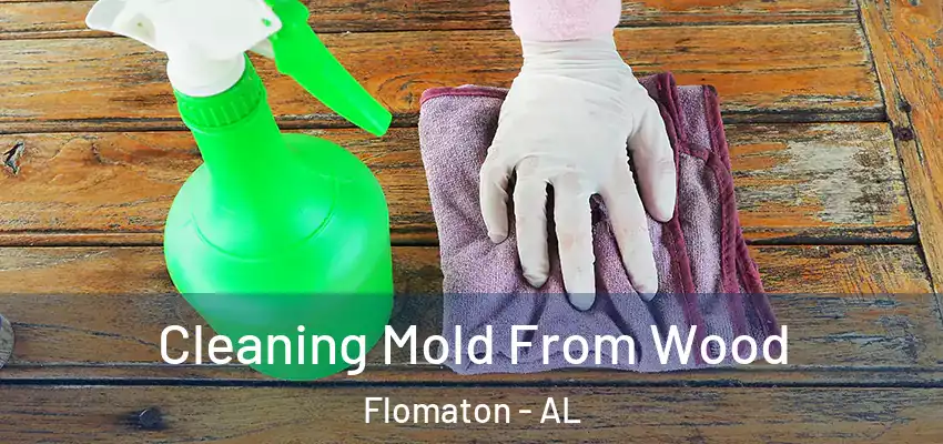 Cleaning Mold From Wood Flomaton - AL