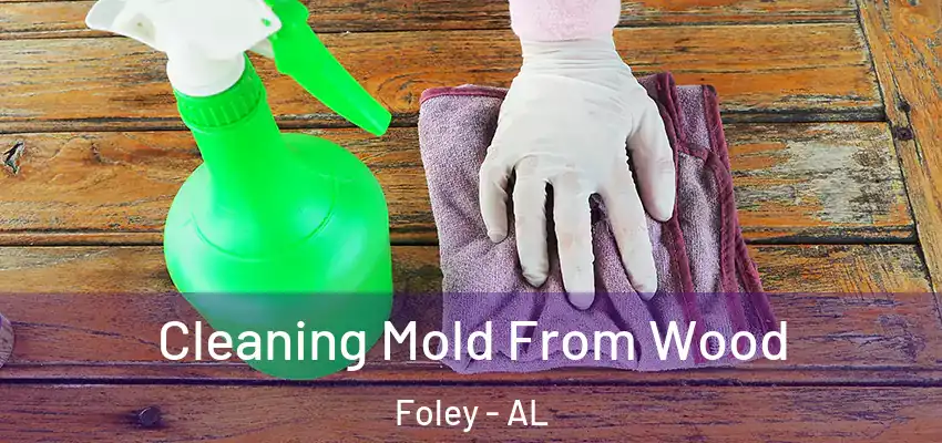 Cleaning Mold From Wood Foley - AL