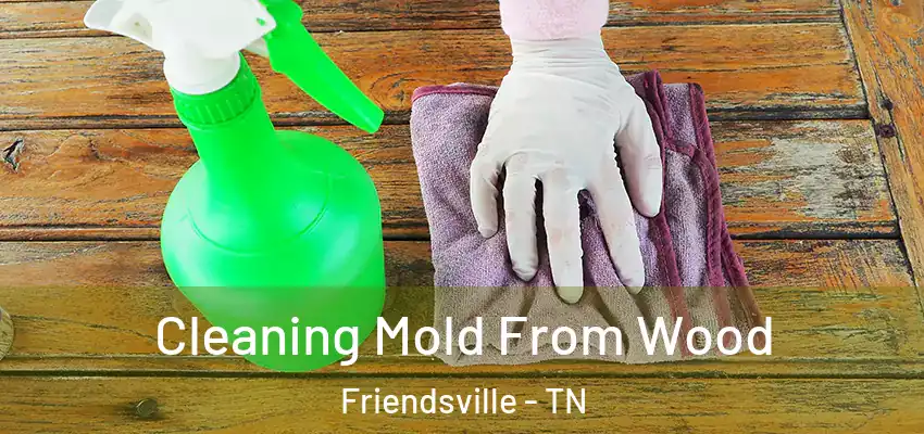  Cleaning Mold From Wood Friendsville - TN
