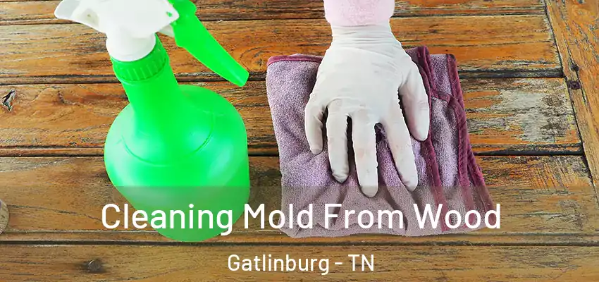  Cleaning Mold From Wood Gatlinburg - TN