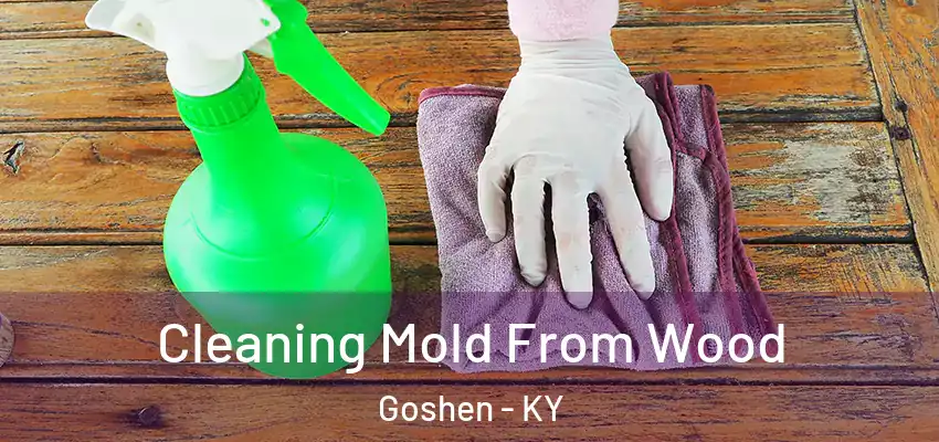 Cleaning Mold From Wood Goshen - KY