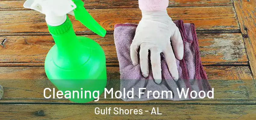 Cleaning Mold From Wood Gulf Shores - AL