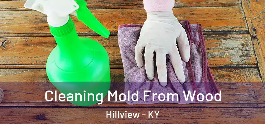 Cleaning Mold From Wood Hillview - KY
