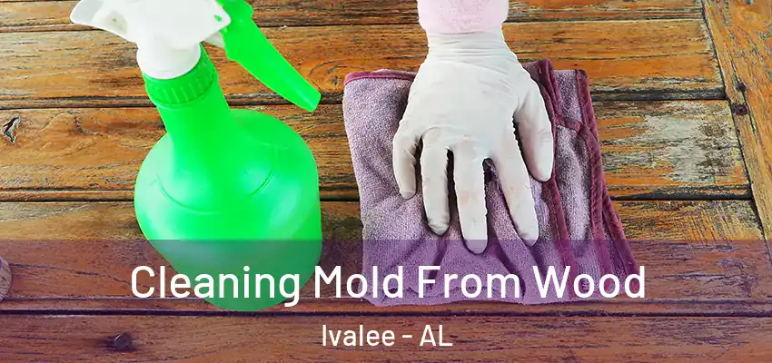 Cleaning Mold From Wood Ivalee - AL