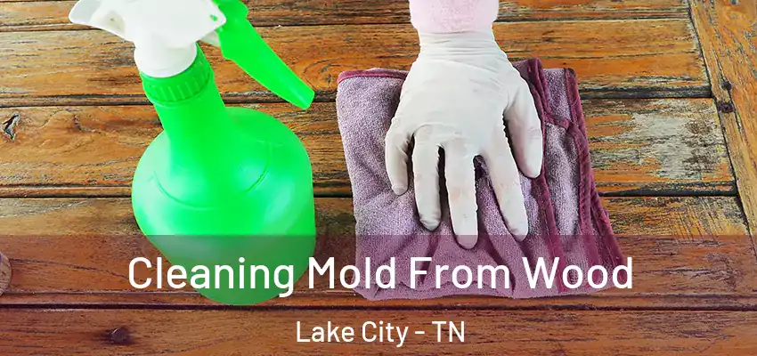  Cleaning Mold From Wood Lake City - TN