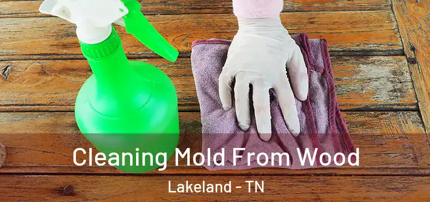  Cleaning Mold From Wood Lakeland - TN