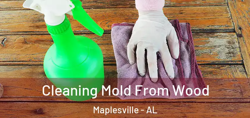  Cleaning Mold From Wood Maplesville - AL
