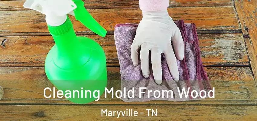  Cleaning Mold From Wood Maryville - TN