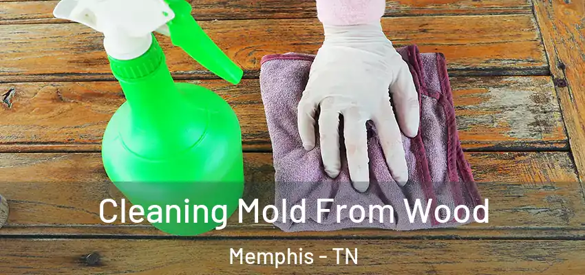 Cleaning Mold From Wood Memphis - TN