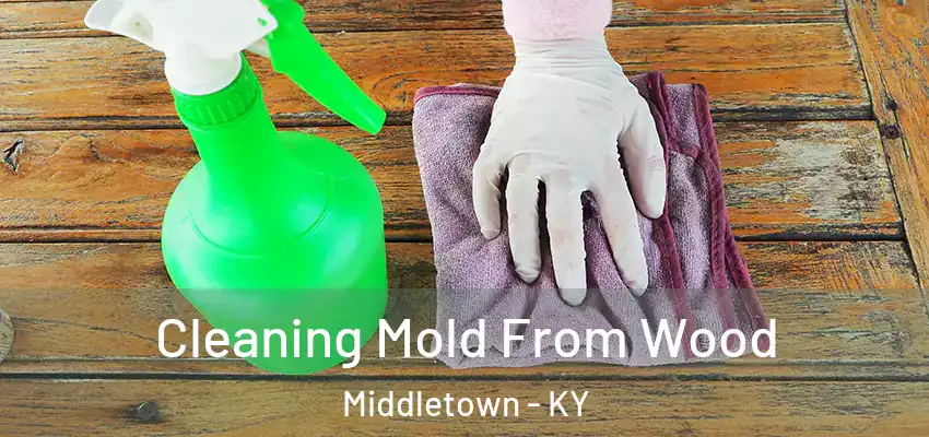 Cleaning Mold From Wood Middletown - KY