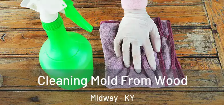 Cleaning Mold From Wood Midway - KY