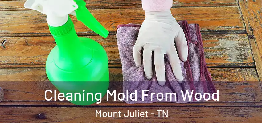  Cleaning Mold From Wood Mount Juliet - TN