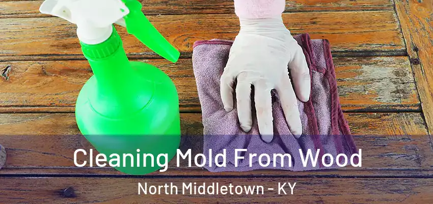 Cleaning Mold From Wood North Middletown - KY