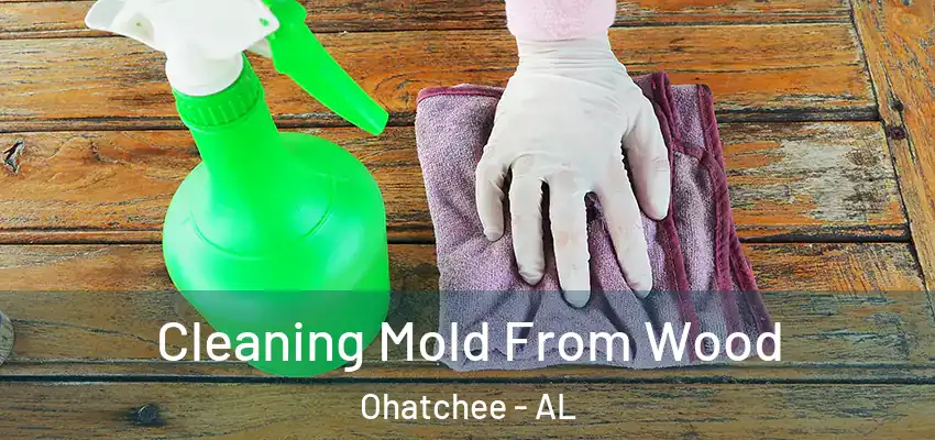  Cleaning Mold From Wood Ohatchee - AL