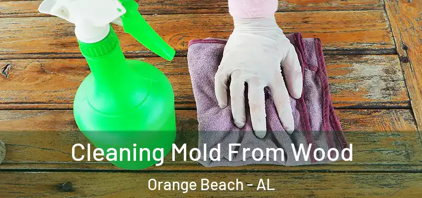 Cleaning Mold From Wood Orange Beach - AL