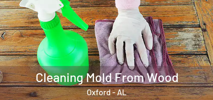  Cleaning Mold From Wood Oxford - AL