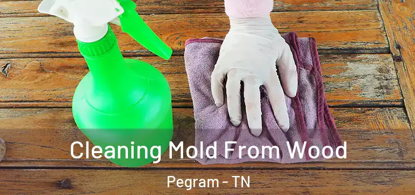 Cleaning Mold From Wood Pegram - TN
