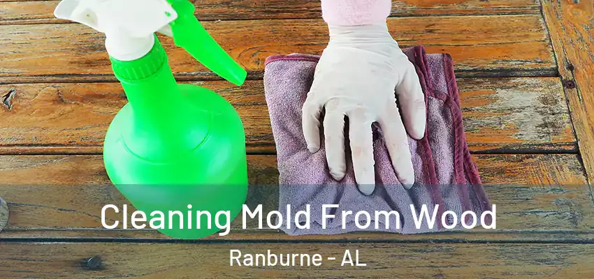 Cleaning Mold From Wood Ranburne - AL