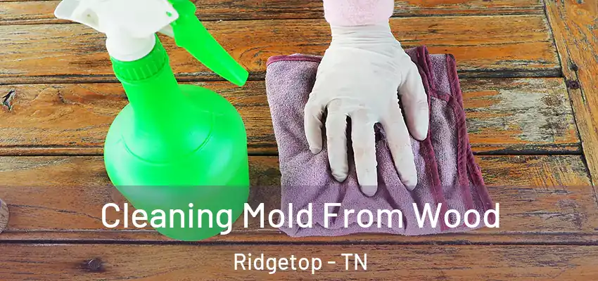 Cleaning Mold From Wood Ridgetop - TN