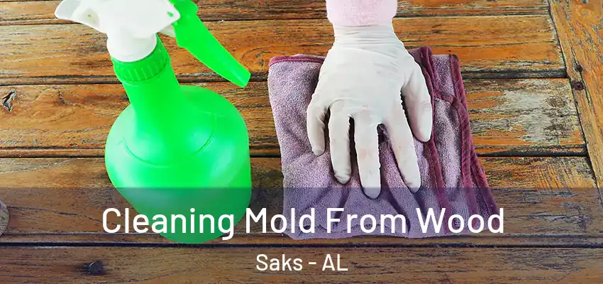  Cleaning Mold From Wood Saks - AL