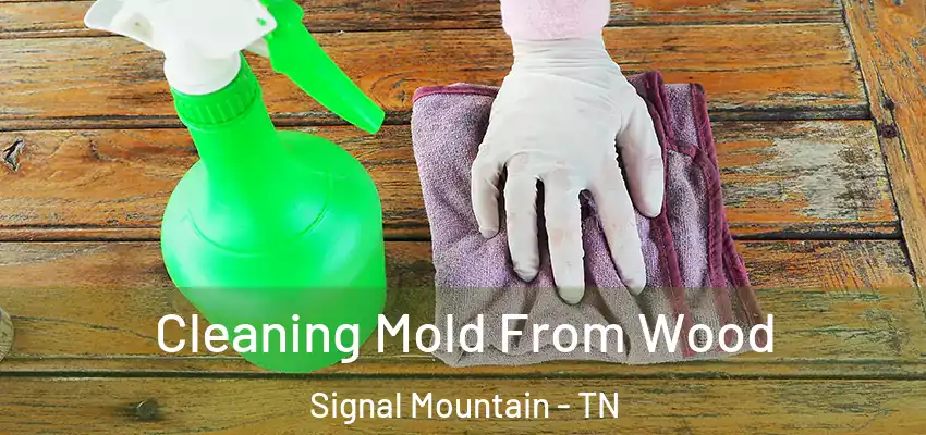  Cleaning Mold From Wood Signal Mountain - TN