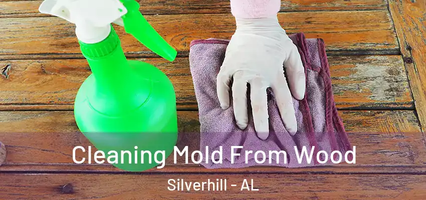 Cleaning Mold From Wood Silverhill - AL