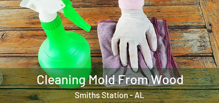 Cleaning Mold From Wood Smiths Station - AL
