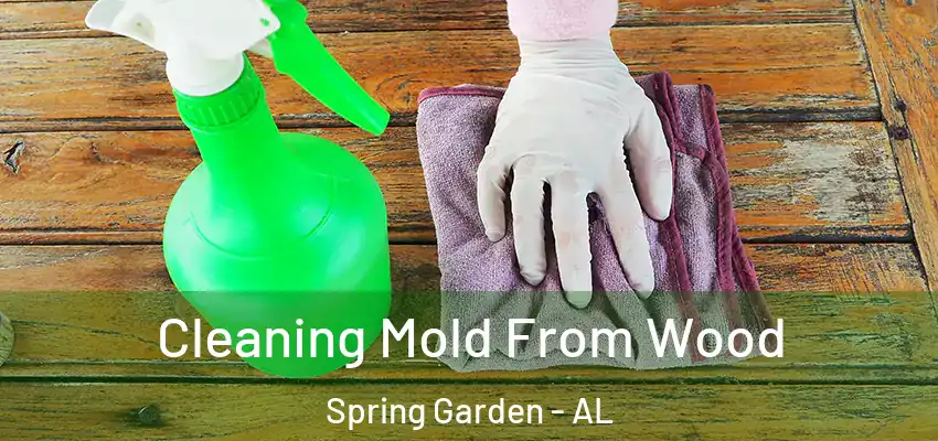 Cleaning Mold From Wood Spring Garden - AL