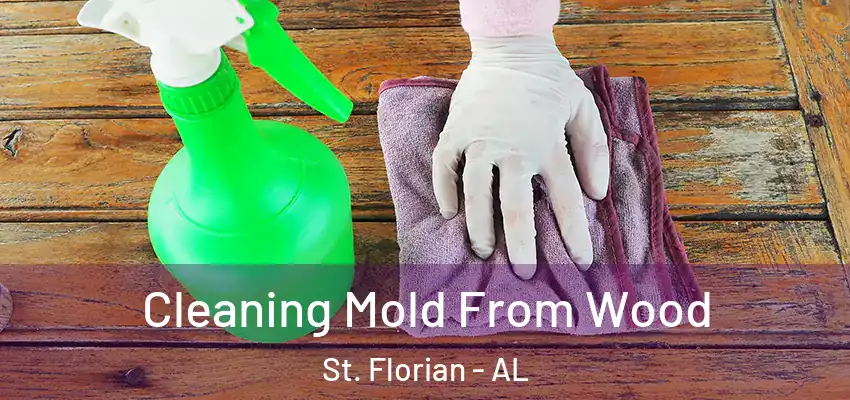 Cleaning Mold From Wood St. Florian - AL