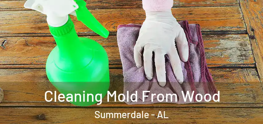 Cleaning Mold From Wood Summerdale - AL